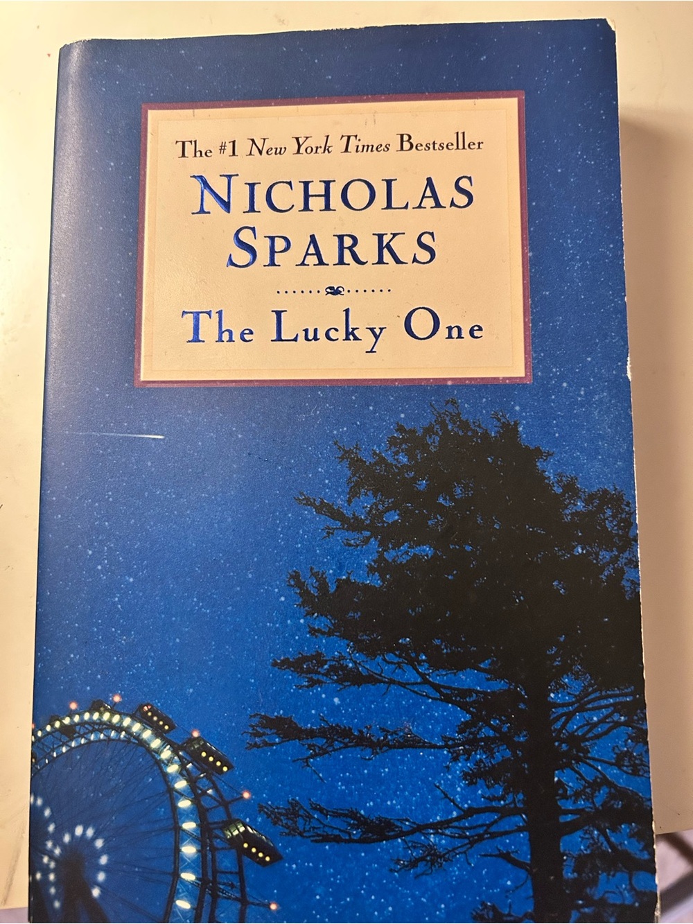 Hachette Blue Paperback - The Lucky One Back Cover